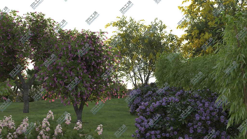 images/goods_img/2021040231/XfrogPlants Volume 2/5.jpg